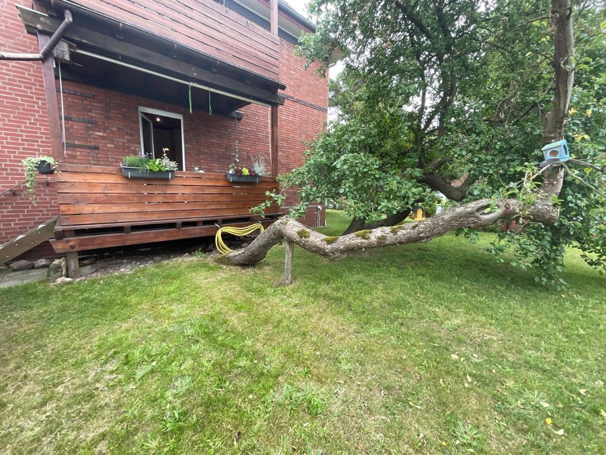 Ferienwohnung Am Kirschenbaum Steinhude Bagian luar foto